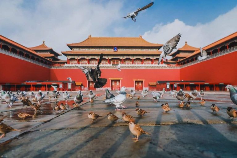 18 個不可錯過的北京著名旅遊景點